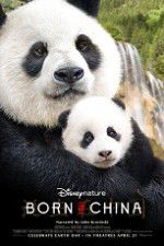 Watch Born in China 5movies