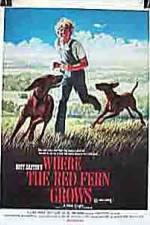 Watch Where the Red Fern Grows 5movies