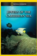 Watch National Geographic Jewels of the Caribbean Sea 5movies