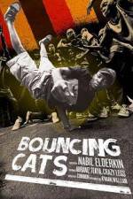 Watch Bouncing Cats 5movies