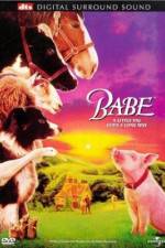 Watch Babe 5movies