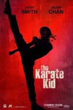 Watch The Karate Kid 5movies