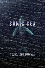 Watch Sonic Sea 5movies