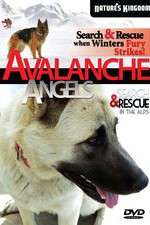 Watch Avalanche Angels 5movies