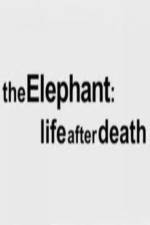 Watch The Elephant - Life After Death 5movies