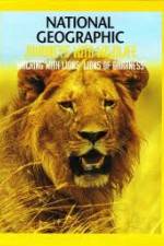 Watch National Geographic:  Walking with Lions 5movies