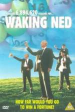 Watch Waking Ned 5movies