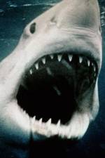 Watch Sharkmania: The Top 15 Biggest Baddest Bloodiest Bites 5movies