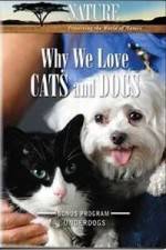 Watch Why We Love Cats And Dogs 5movies