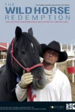 Watch The Wild Horse Redemption 5movies