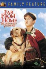 Watch Far from Home The Adventures of Yellow Dog 5movies