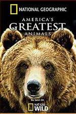 Watch America's Greatest Animals 5movies