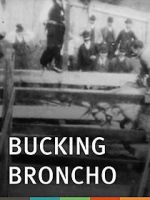 Watch Bucking Broncho 5movies