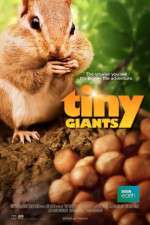 Watch Tiny Giants 3D 5movies