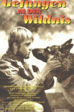 Watch Call of the Wild 5movies
