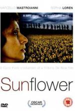 Watch Sunflower 5movies