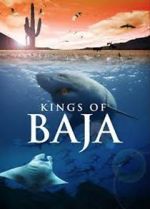 Watch Kings of Baja 5movies