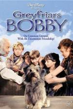 Watch Greyfriars Bobby The True Story of a Dog 5movies