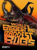 Watch World\'s Biggest and Baddest Bugs 5movies