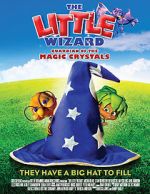 Watch The Little Wizard: Guardian of the Magic Crystals 5movies