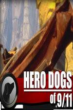 Watch Hero Dogs of 911 Documentary Special 5movies