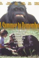 Watch A Summer to Remember 5movies