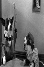 Watch The Two Barks Brothers 5movies