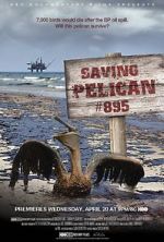 Watch Saving Pelican 895 (Short 2011) 5movies