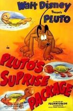 Watch Pluto\'s Surprise Package 5movies