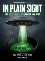Watch In Plain Sight: The Intelligence Community and UFOs 5movies