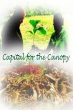 Watch Capital for the Canopy 5movies