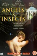 Watch Angels and Insects 5movies