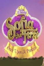 Watch Sofia the First Once Upon a Princess 5movies
