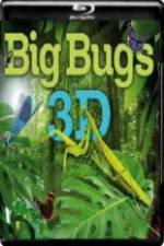 Watch Big Bugs in 3D 5movies