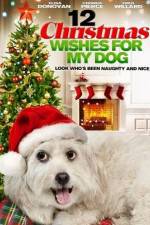 Watch 12 Christmas Wishes For My Dog 5movies