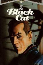 Watch The Black Cat 5movies