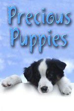 Watch Precious Puppies 5movies