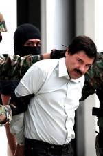Watch The Rise and Fall of El Chapo 5movies