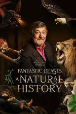 Watch Fantastic Beasts: A Natural History 5movies