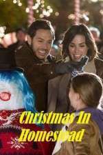 Watch Christmas in Homestead 5movies