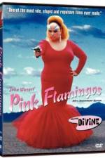 Watch Pink Flamingos 5movies