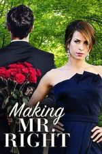 Watch Making Mr. Right 5movies
