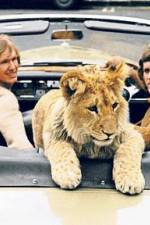 Watch The Lion Cub from Harrods 5movies