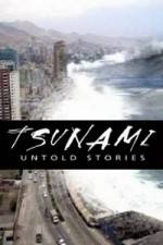 Watch Tsunami: Untold Stories 5movies