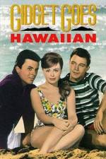 Watch Gidget Goes Hawaiian 5movies