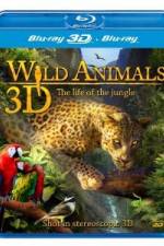 Watch Wild Animals - The Life of the Jungle 3D 5movies