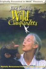 Watch Jane Goodall's Wild Chimpanzees 5movies