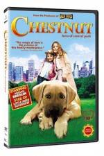 Watch Chestnut - Hero of Central Park 5movies