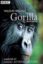 Watch Gorilla Revisited with David Attenborough 5movies