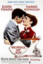 Watch Bundle of Joy 5movies